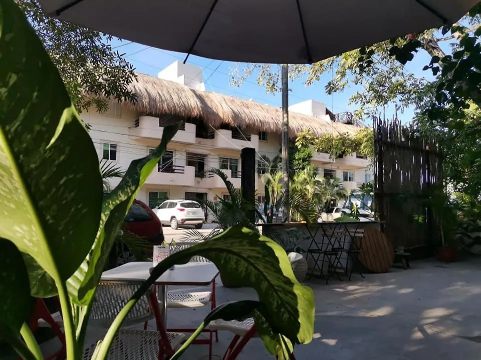Mandarinas location